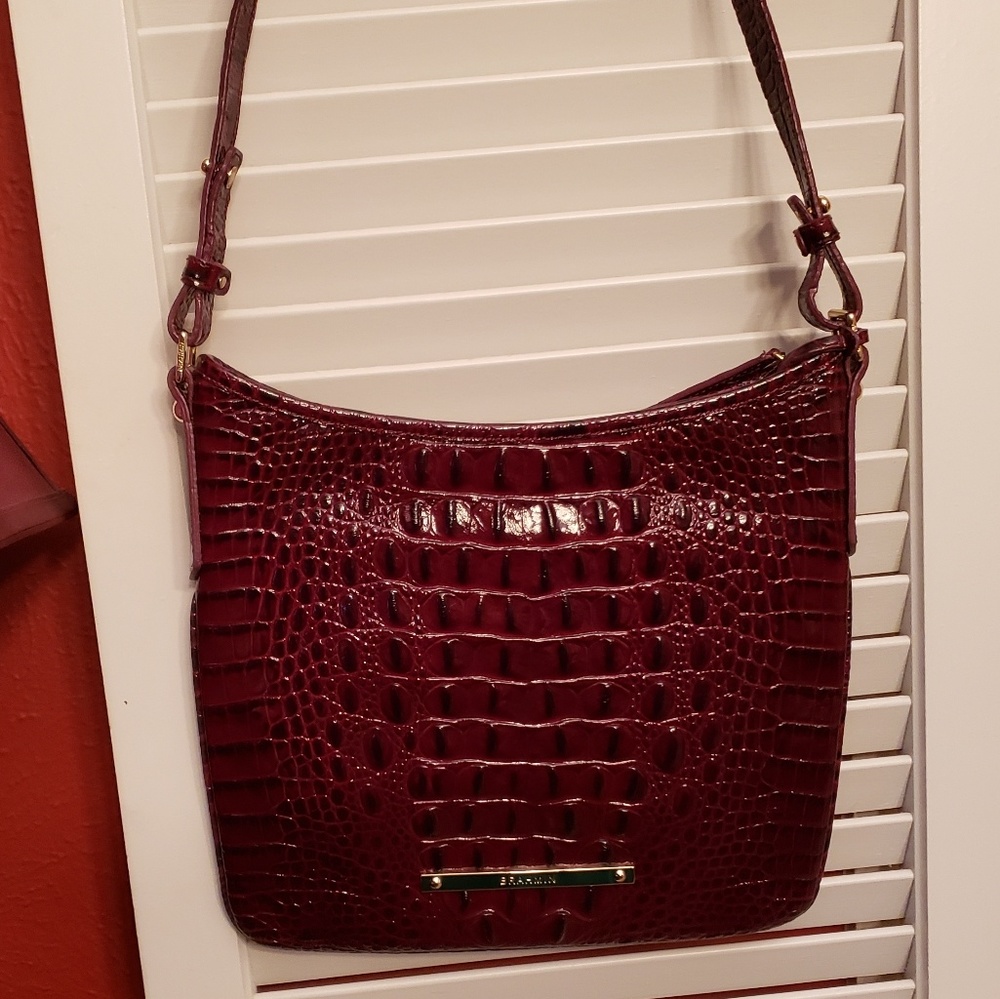 Brahmin Jody - Picture 8 of 8